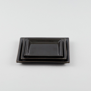 Square Plate with Risen Narrow Rim - Black (Ss)